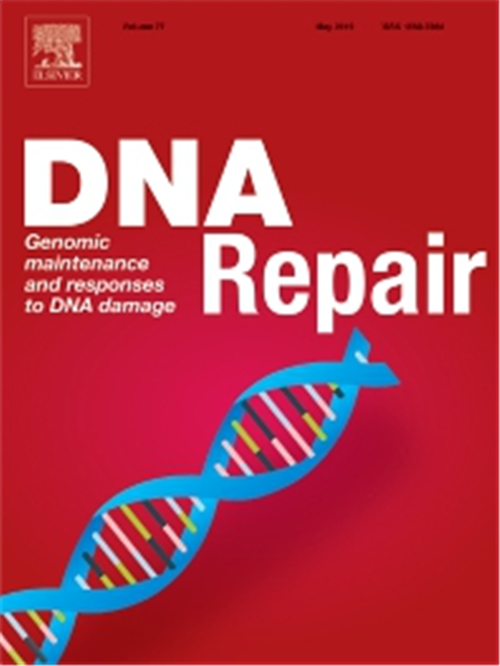 Our engineered strains were cited in DNA Repair