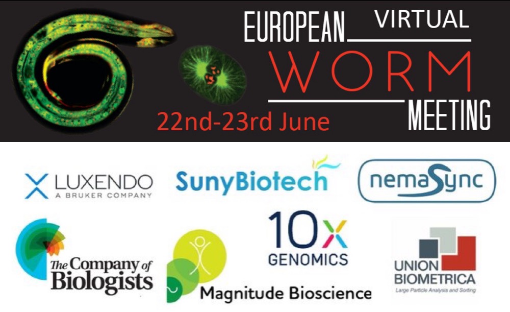 Time Limited C. elegans editing promotion for European Worm Meeting