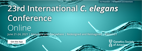Meet us at 23rd International C. elegans Conference