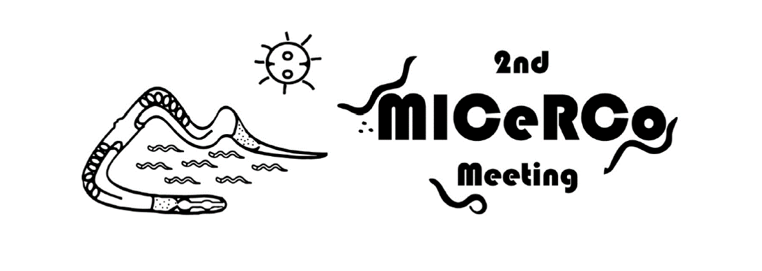 the 2.0nd Meeting of the Italian C.elegans Research Community (M.I.C.e.R.Co.)