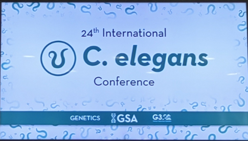 Congratulation on the Success Conclusion of 24th International C. elegans