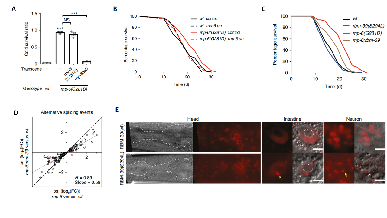 1764746309530088.png 1.png