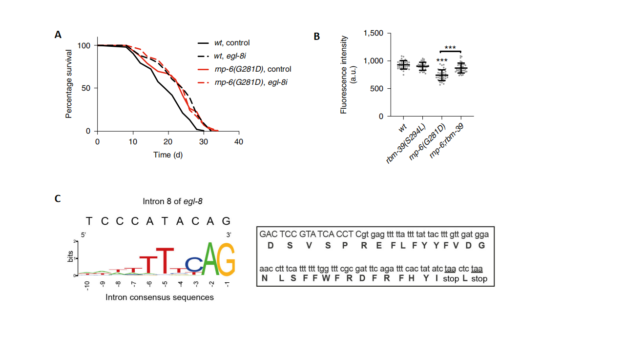 1764746342967954.png 2.png