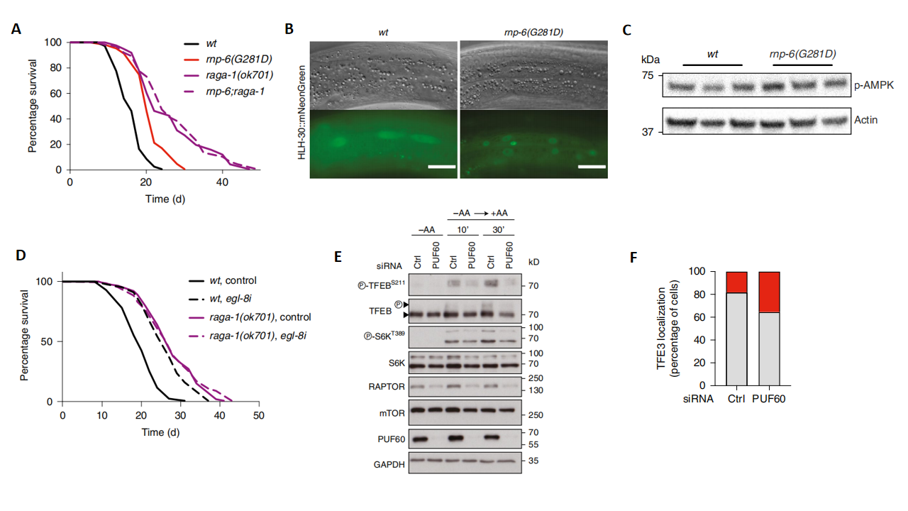 1764746363320423.png 3.png