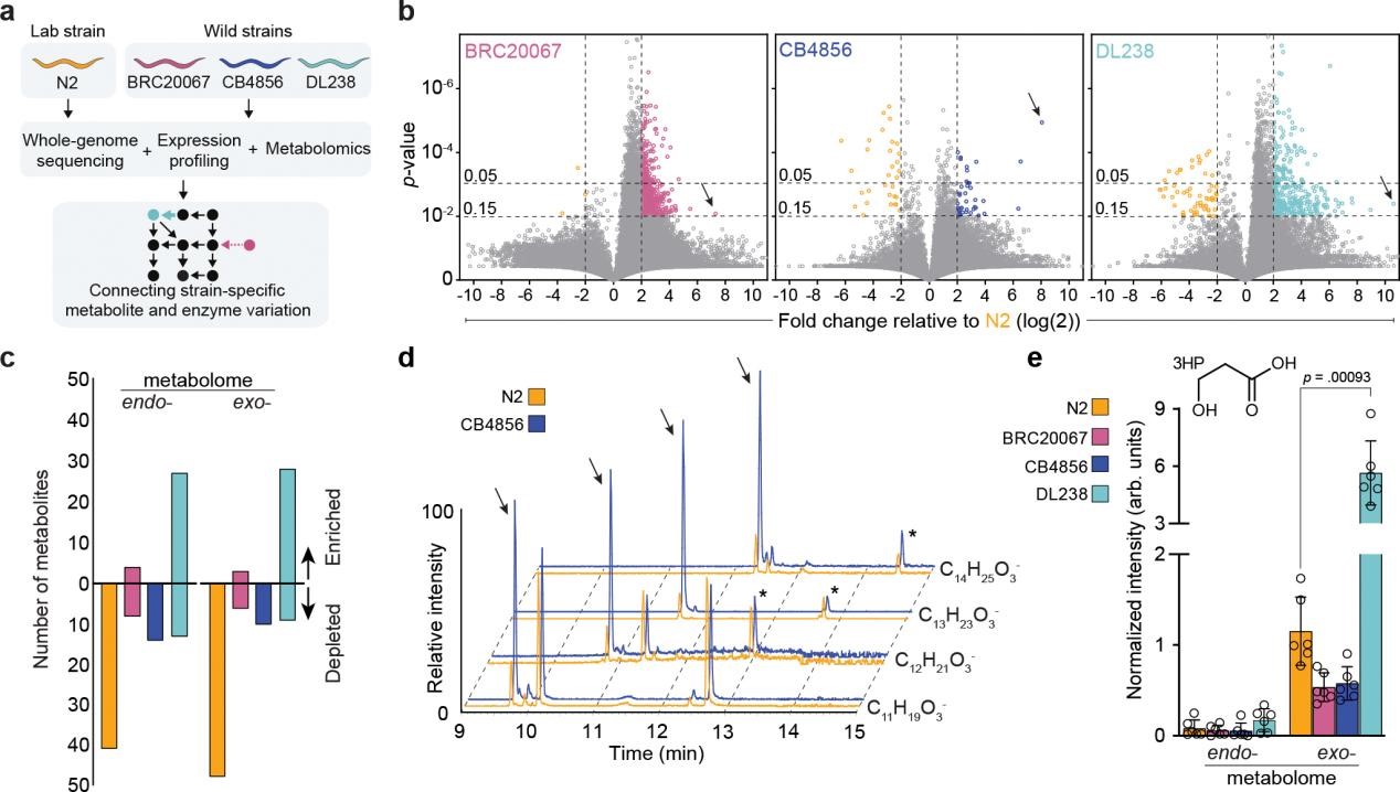 1764746913898162.jpg 1.jpg