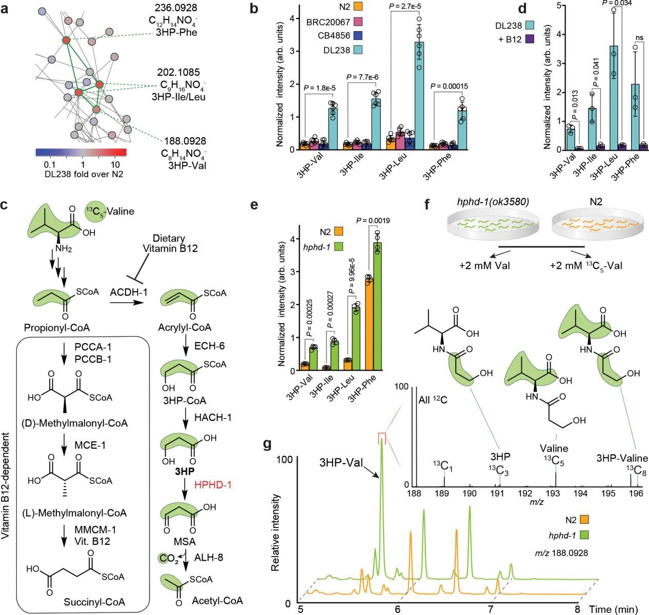 1764746929566982.jpg 2.jpg