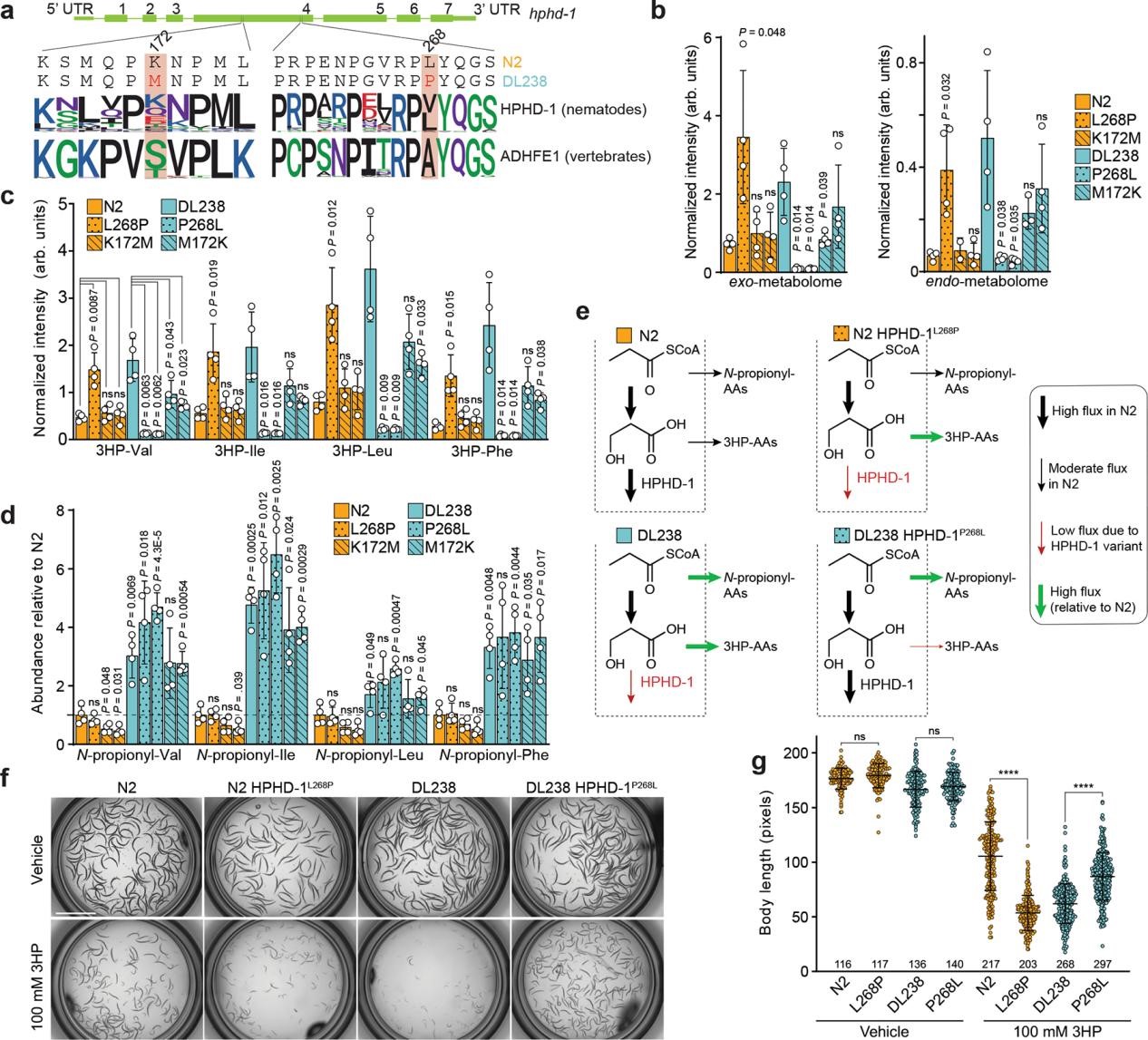 1764746942703254.jpg 3.jpg