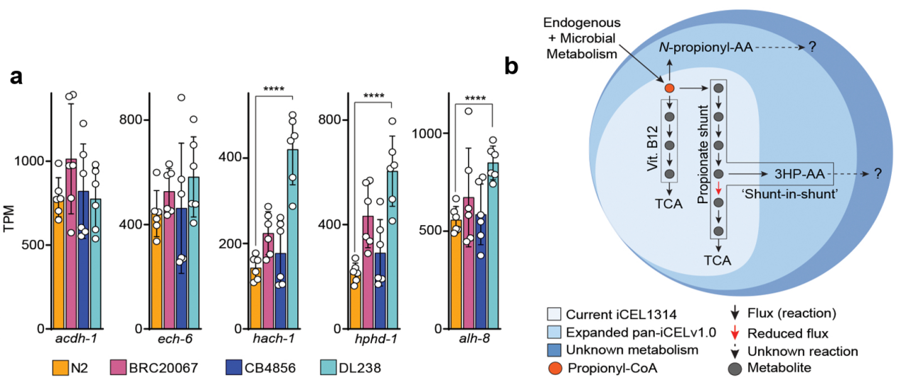 1764746957934445.png 4.png